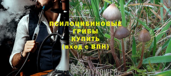 сатива Алзамай