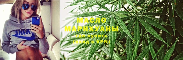 сатива Алзамай