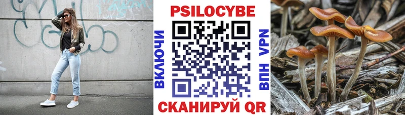 Псилоцибиновые грибы мицелий  купить  цена  Феодосия 